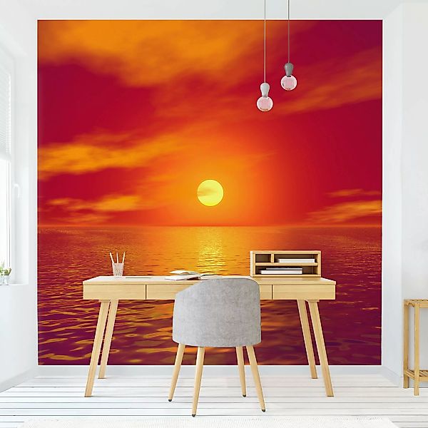 Fototapete Beautiful Sunset günstig online kaufen