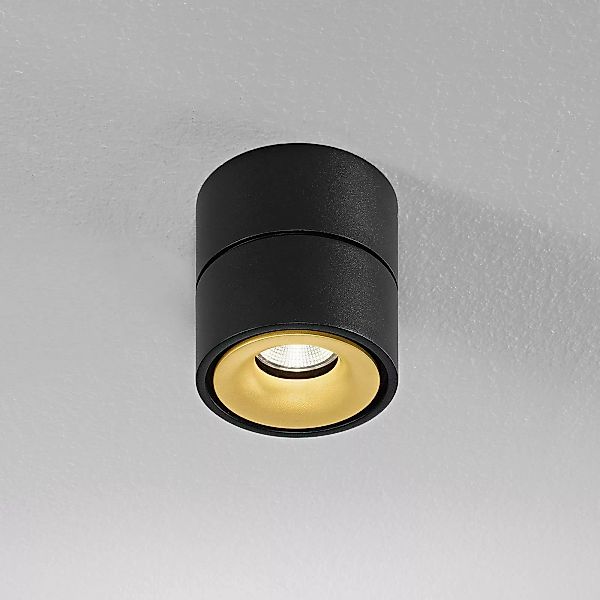 Egger DLS Deckenspot Clippo, dim-to-warm, schwarz/gold günstig online kaufen