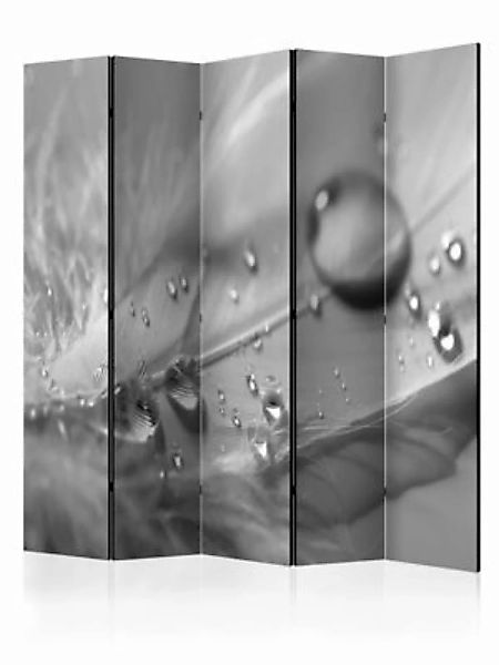 artgeist Paravent Grey Feather II [Room Dividers] grau/weiß Gr. 225 x 172 günstig online kaufen