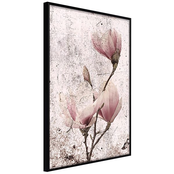 Poster - Queen Of Spring Flowers Ii günstig online kaufen