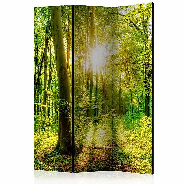 3-teiliges Paravent - Forest Rays [room Dividers] günstig online kaufen