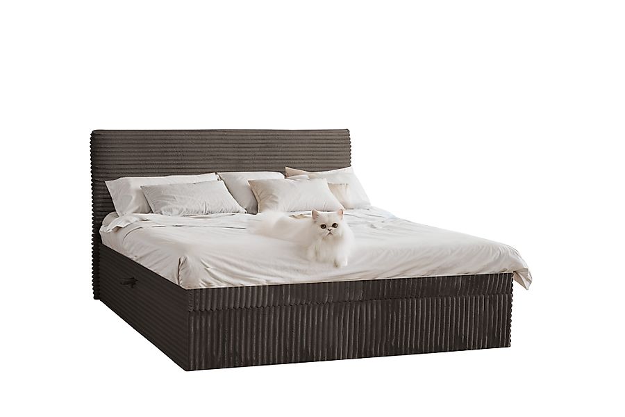 Kaiser Möbel Boxspringbett mit bettkasten und günstig online kaufen