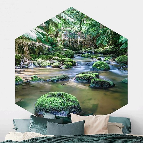 Hexagon Fototapete selbstklebend Bach im Dschungel günstig online kaufen