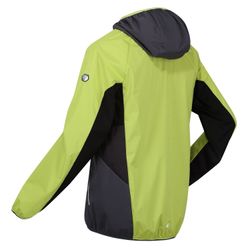 Regatta Softshelljacke Softshelljacke mit Kapuze Tarvos günstig online kaufen