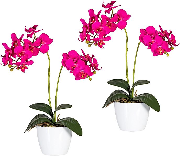 Creativ green Kunstpflanze "Phalaenopsis" günstig online kaufen