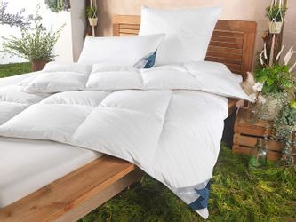 Haeussling Daunenbettdecke GRÖNLAND Made in Green, günstig online kaufen