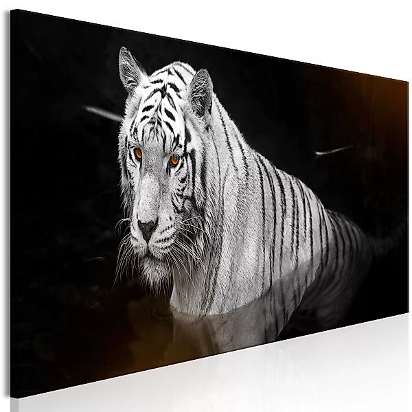 Wandbild - Shining Tiger (1 Part) Orange Narrow günstig online kaufen