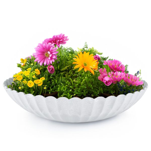 matches21 HOME & HOBBY Blumentopf Runde günstig online kaufen