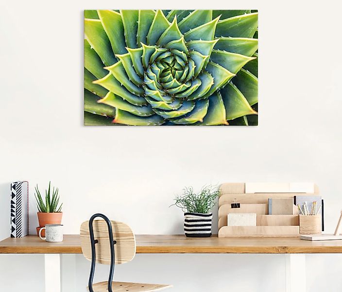 Artland Wandbild »Grüne Spirale«, Pflanzenbilder, (1 St.), als Alubild, Lei günstig online kaufen