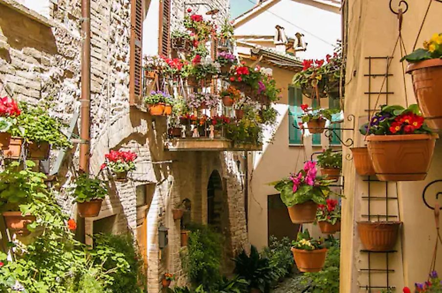 Papermoon Fototapete »Pflanzen in Altstadt« günstig online kaufen