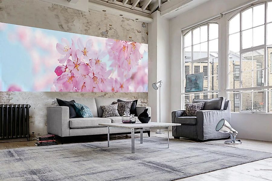 Papermoon Fototapete »Cherry Blossom Panorama«, matt günstig online kaufen