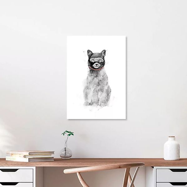 Poster / Leinwandbild - Masked Cat günstig online kaufen