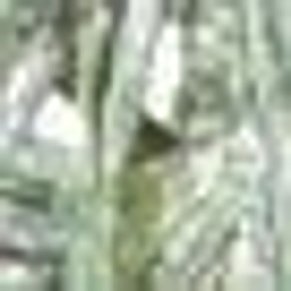 Winterliche Kunstpflanze Weihnachtsdeko, Weihnachtsgirlande Zeder, Creativ günstig online kaufen