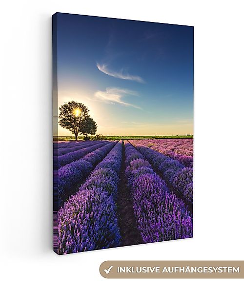 OneMillionCanvasses® Leinwandbild Lavendel - Sonne - günstig online kaufen
