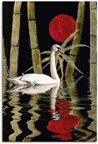 Artland Wandbild "Blutmond über dem Schwanensee", Schwanen Bilder, (1 St.), günstig online kaufen