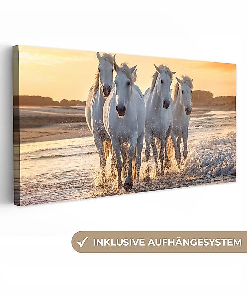 OneMillionCanvasses® Leinwandbild Panorama Pferde - Wasser günstig online kaufen