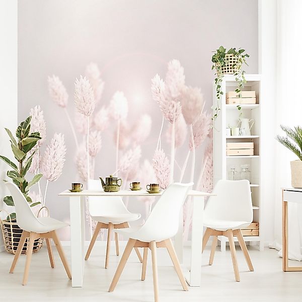 Bilderdepot24 Fototapete Blumen Helles Gras Sonnenlicht günstig online kaufen