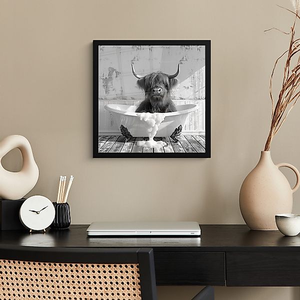 MuchoWow Poster Scottish Highlander - Tier günstig online kaufen