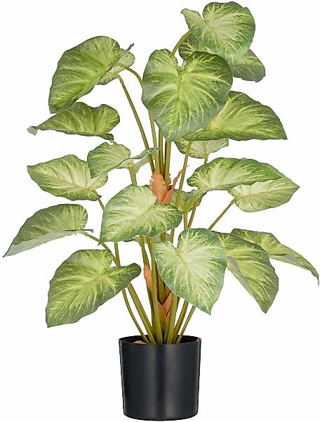 Creativ green Kunstpflanze "Syngonium", mit schönem Blattwerk günstig online kaufen