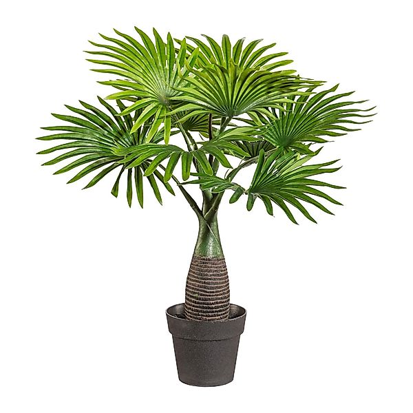 Gestecke, Gasper, Höhe 45 cm günstig online kaufen