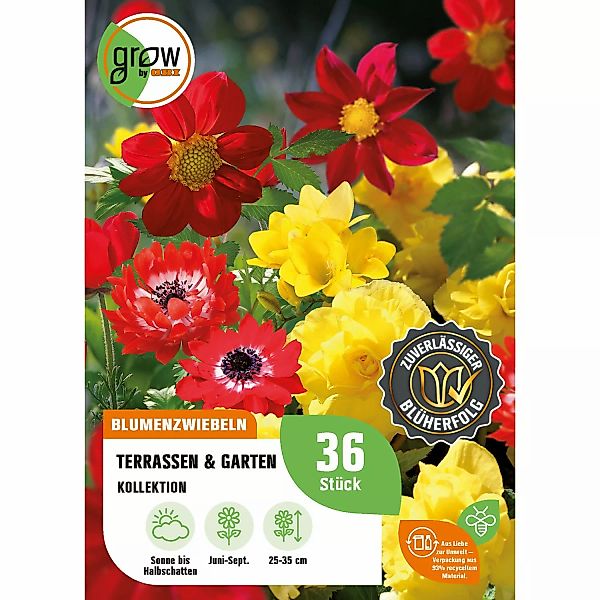 GROW by OBI Terrassen- und Garten-Kollektion Höhe ca. 25 cm - 35 cm günstig online kaufen