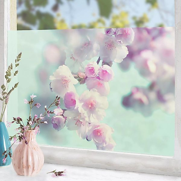 Fensterfolie Farbenfrohe Kirschblüten günstig online kaufen
