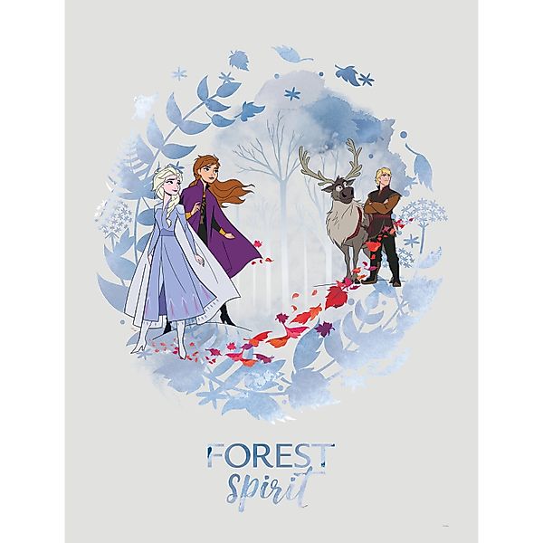 Komar Bild "Frozen Spirit" Disney 1 Stk. tlg. Wandbild zur Dekoration im Ki günstig online kaufen