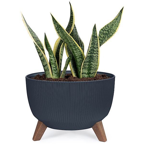 KONZEPT Blumentopf Pflanzenschale mit Füßen 33 günstig online kaufen