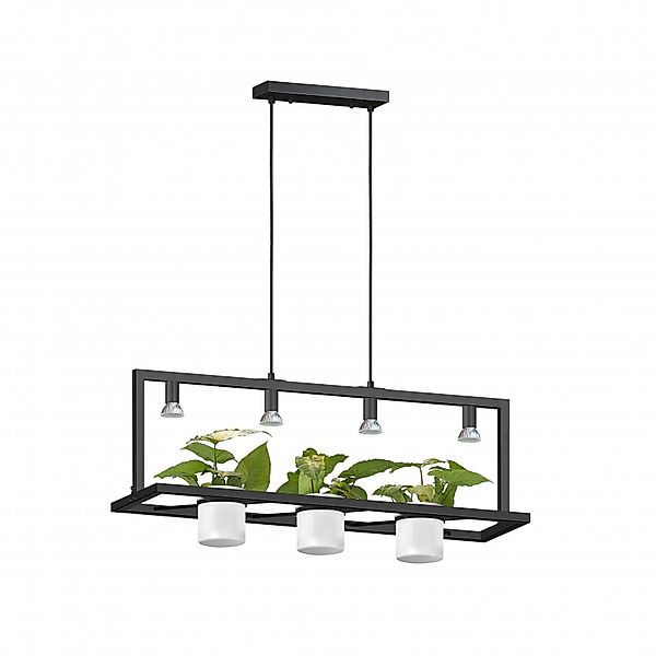 Pendelleuchte PLANTER P0536-04B-P7AB günstig online kaufen