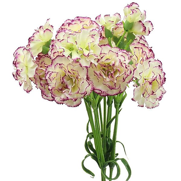 Kunstblume Romantische Künstliche Nelken Weiß-Lila 64cm, günstig online kaufen