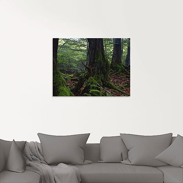 Artland Glasbild »Alte Bäume am Kraterrand«, Wald, (1 St.), in verschiedene günstig online kaufen