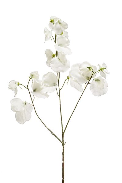 Kunstblume Blütenzweig, Emerald, Höhe 75 cm günstig online kaufen