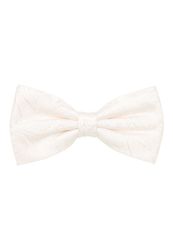 Eterna Fliege günstig online kaufen