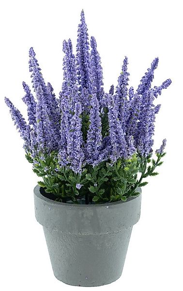 Kunstpflanze Erika im grauen Topf 13x19cm Kunstblume Heidekraut, mucPlants günstig online kaufen