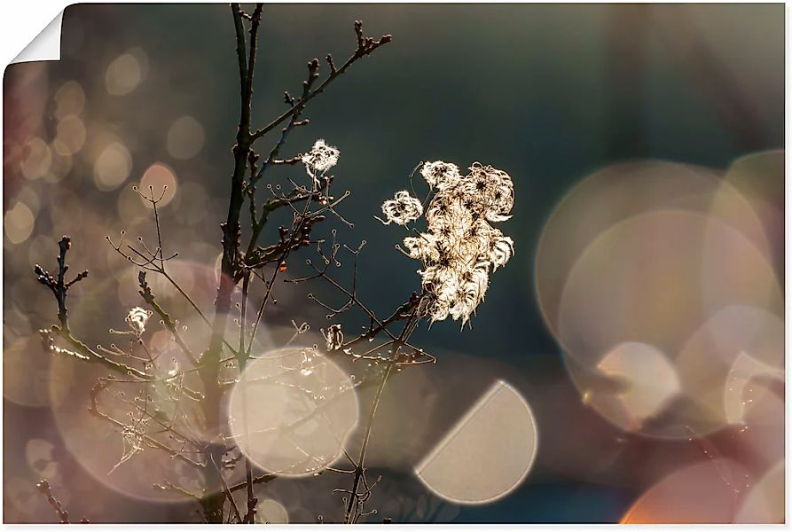 Artland Wandbild "Naturromantik", Blumenbilder, (1 St.), als Leinwandbild, günstig online kaufen