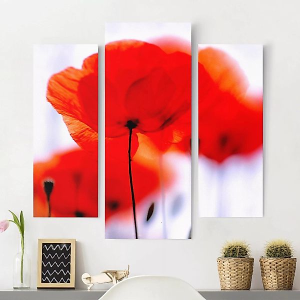 3-teiliges Leinwandbild Blumen - Querformat Magic Poppies günstig online kaufen