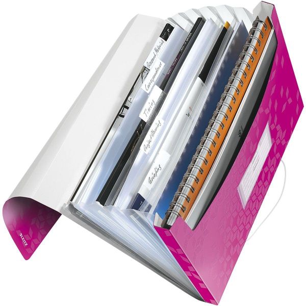 LEITZ Fächermappe Leitz Projektmappe 4589-00-36 Blau günstig online kaufen