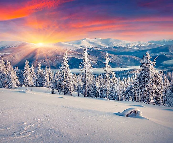 Papermoon Fototapete »ALPEN-WINTER GEBIRGE XXL« günstig online kaufen