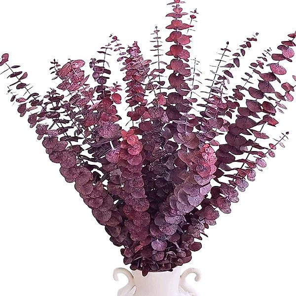 Kunstblumenstrauß 20 Stück Künstliche Eukalyptusblätter Deko,Eukalyptus günstig online kaufen