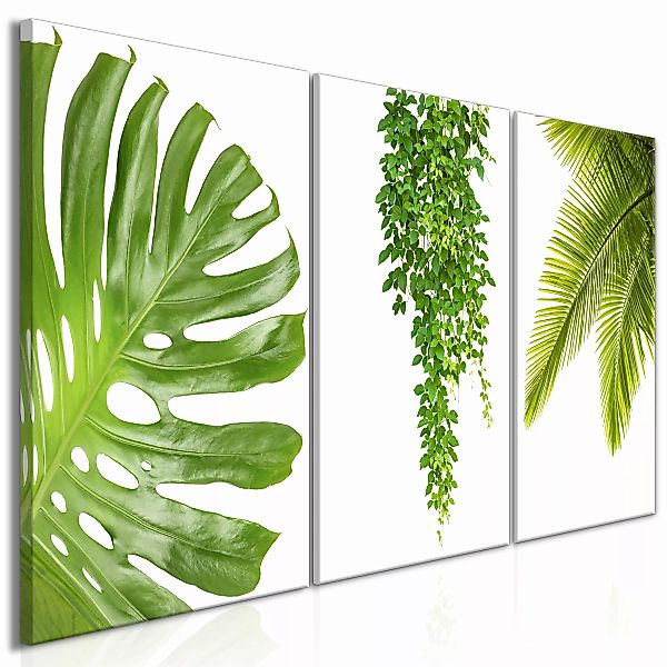 Wandbild - Beautiful Palm Trees (3 Parts) günstig online kaufen