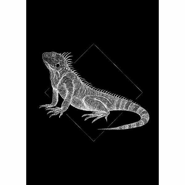 Komar Poster Iguana Black Tiere B/L: ca. 50x70 cm günstig online kaufen