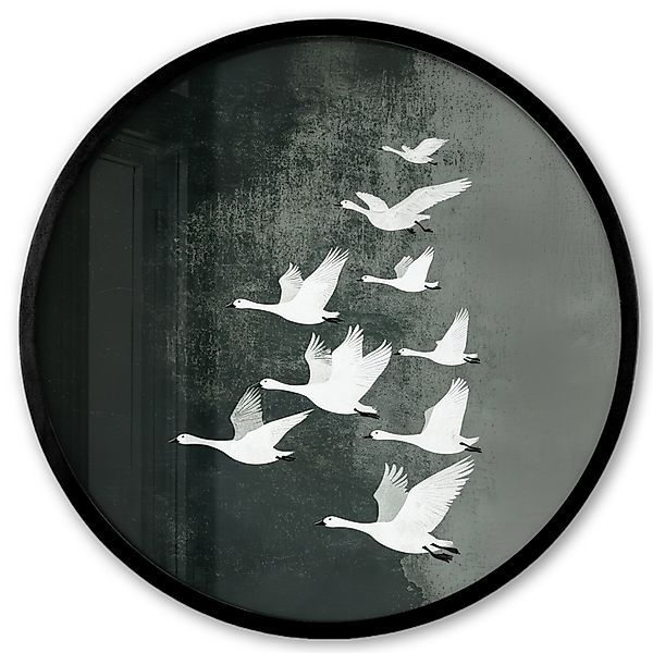 MuchoWow Poster Rund - Vogel - günstig online kaufen