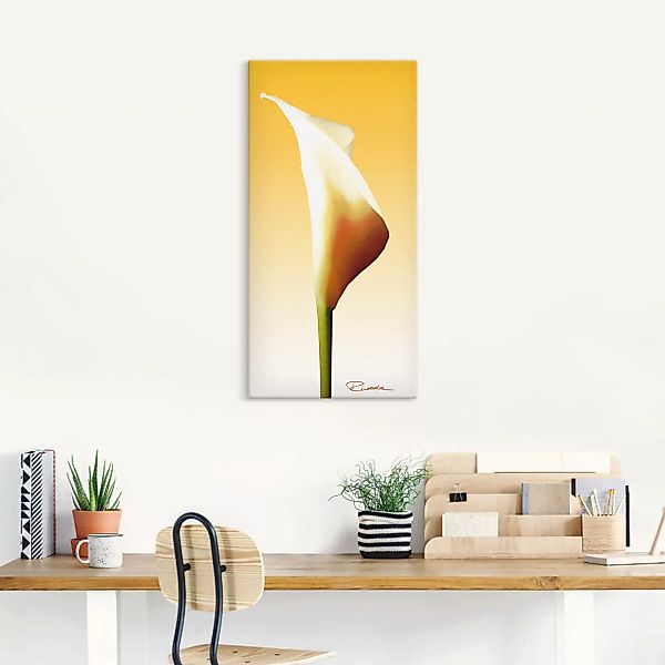 Artland Leinwandbild "Sonnenschein Calla I", Blumenbilder, (1 St.) günstig online kaufen