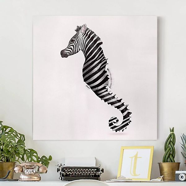 Leinwandbild - Quadrat Seepferdchen mit Zebrastreifen günstig online kaufen