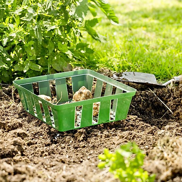 Windhager Blumenerde Windhager Pflanzschale 23,5 x 21 cm 3 Stück günstig online kaufen