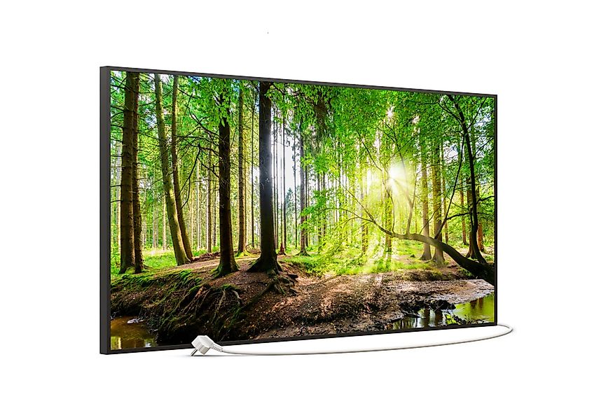 STEINFELD Heizsysteme Infrarotheizung, Bild, 750W 120x60cm, Inklusive Therm günstig online kaufen