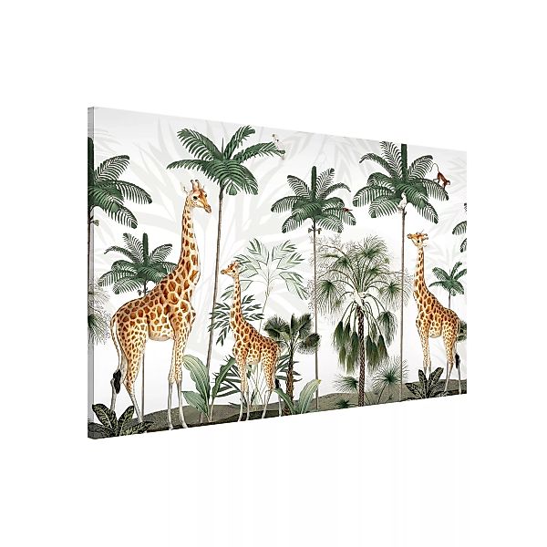 Magnettafel Eleganz der Giraffen im Dschungel günstig online kaufen
