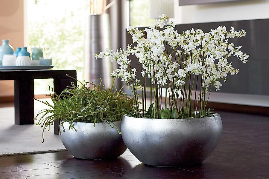 Flingora Pflanzschale Alodie, Fiberglas - Indoor - Silber - Ø 50 cm günstig online kaufen