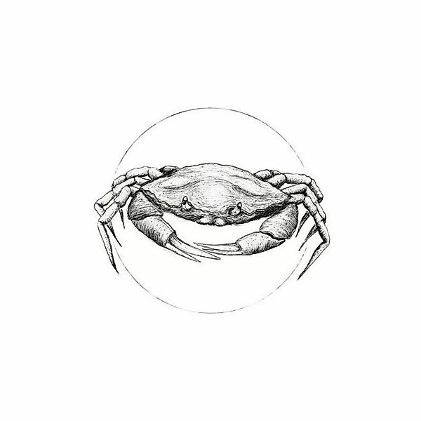 Komar Poster Crab White Tiere B/L: ca. 50x70 cm günstig online kaufen