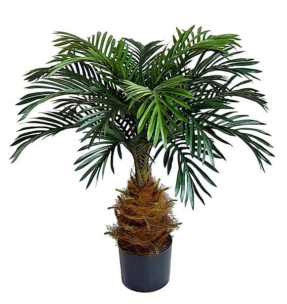 Kunstpalme Cycaspalme 80cm DA Kunstpalmen Kunstpflanzen günstig online kaufen